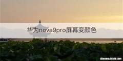 华为nova9pro屏幕变颜色