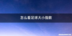 怎么看足球大小指数