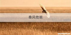 秦风他爸