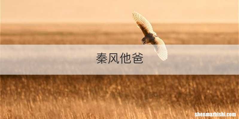秦风他爸