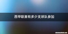西甲联赛有多少支球队参加