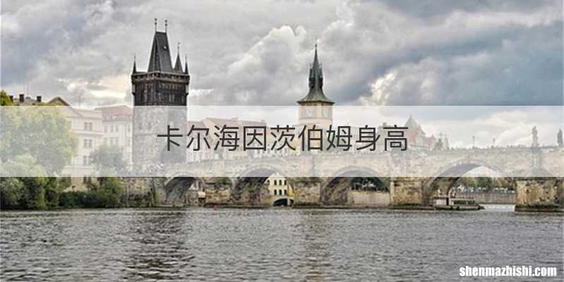 卡尔海因茨伯姆身高