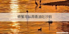 螃蟹可以用香油吐沙吗