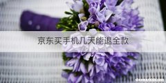京东买手机几天能退全款