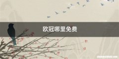 欧冠哪里免费