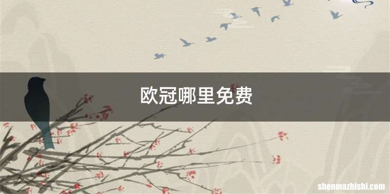 欧冠哪里免费