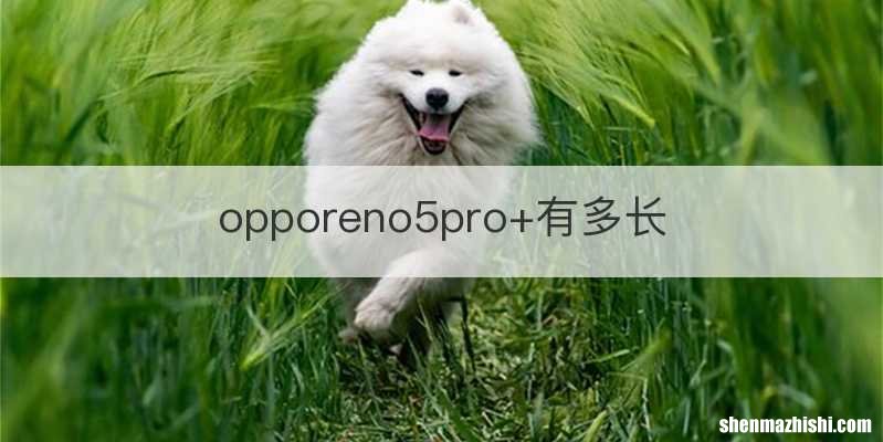 opporeno5pro+有多长