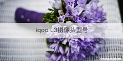 iqoo u3摄像头型号