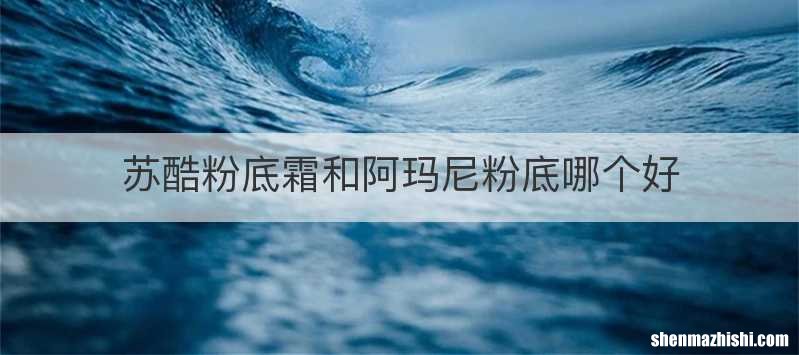 苏酷粉底霜和阿玛尼粉底哪个好