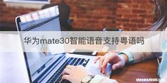 华为mate30智能语音支持粤语吗