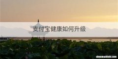 支付宝健康如何升级