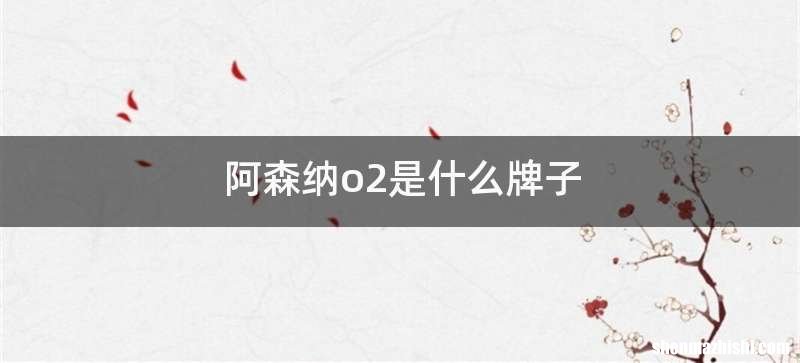 阿森纳o2是什么牌子