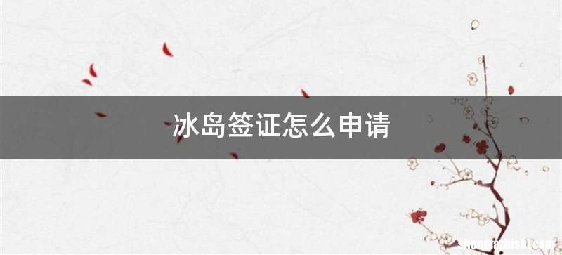 冰岛签证怎么申请