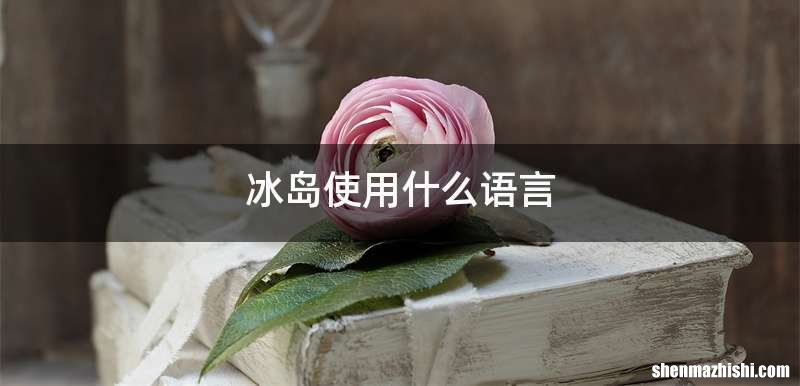 冰岛使用什么语言