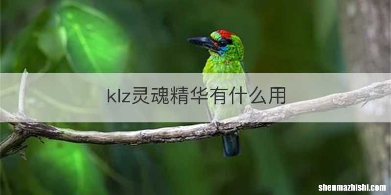 klz灵魂精华有什么用