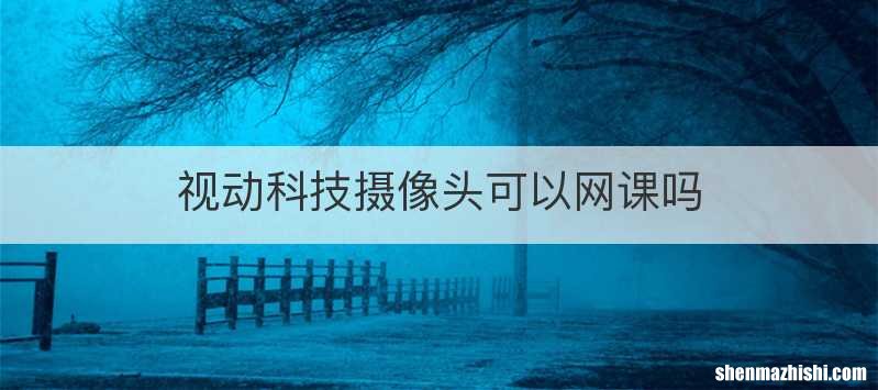 视动科技摄像头可以网课吗