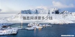 雅思网课要多少钱