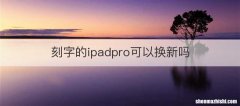 刻字的ipadpro可以换新吗