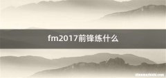 fm2017前锋练什么