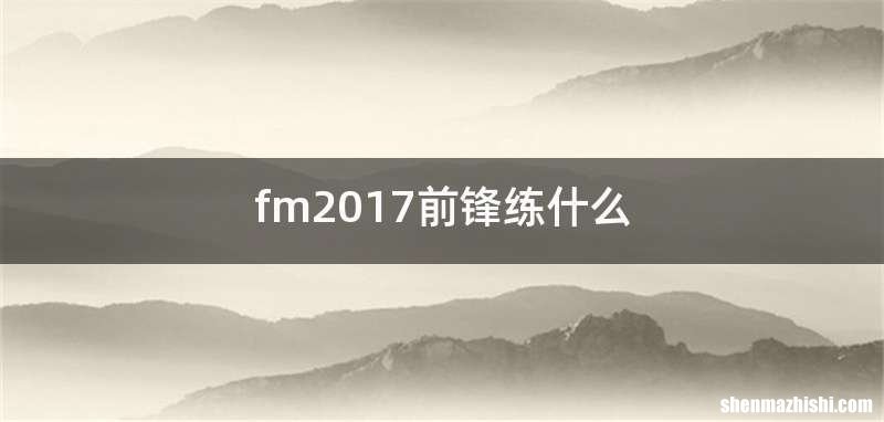fm2017前锋练什么
