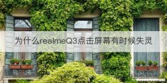 为什么realmeQ3点击屏幕有时候失灵