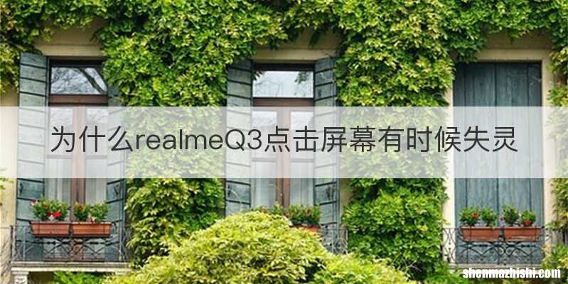 为什么realmeQ3点击屏幕有时候失灵