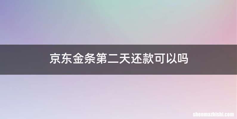 京东金条第二天还款可以吗