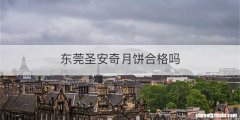 东莞圣安奇月饼合格吗