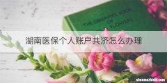湖南医保个人账户共济怎么办理