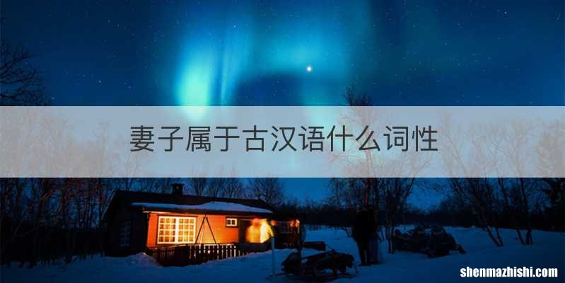 妻子属于古汉语什么词性