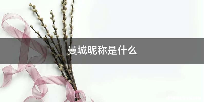 曼城昵称是什么