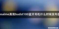 realme真我budst100蓝牙耳机什么时候发布的