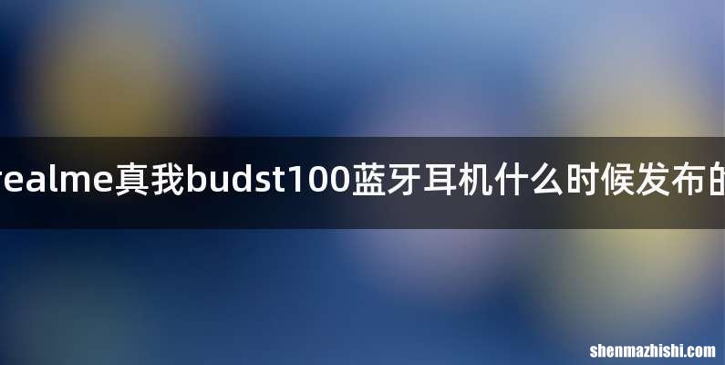 realme真我budst100蓝牙耳机什么时候发布的