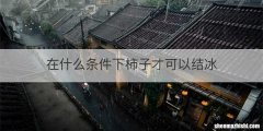 在什么条件下柿子才可以结冰