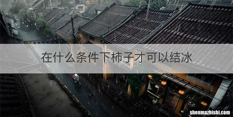 在什么条件下柿子才可以结冰