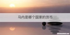 马内是哪个国家的货币