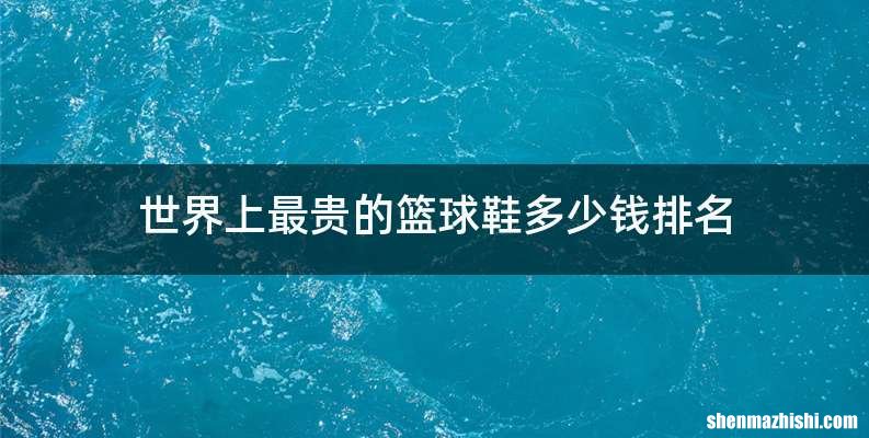 世界上最贵的篮球鞋多少钱排名