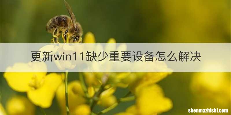 更新win11缺少重要设备怎么解决