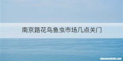 南京路花鸟鱼虫市场几点关门