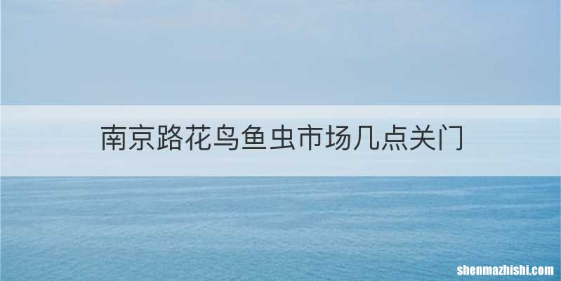 南京路花鸟鱼虫市场几点关门