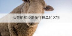 头等舱和经济舱行程单的区别