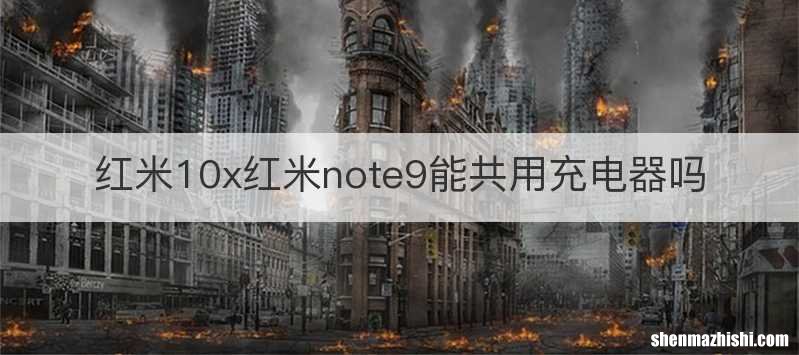 红米10x红米note9能共用充电器吗