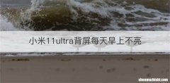 小米11ultra背屏每天早上不亮
