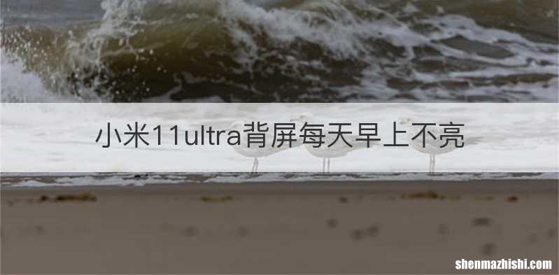 小米11ultra背屏每天早上不亮