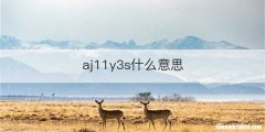aj11y3s什么意思