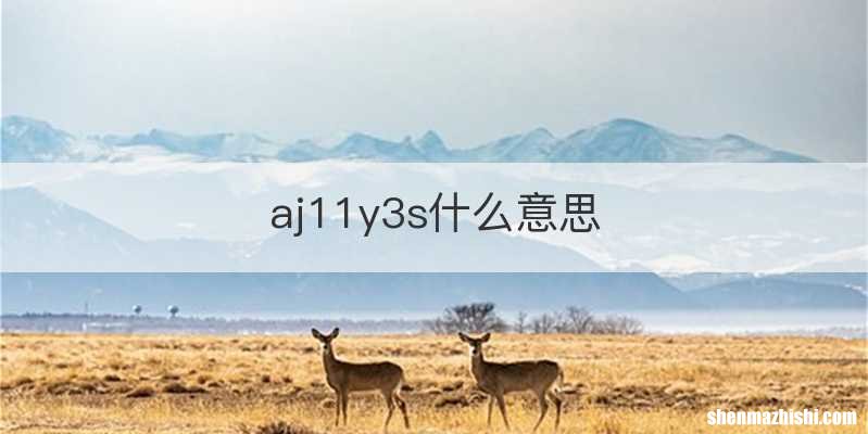 aj11y3s什么意思