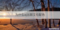 为什么aj出郭艾伦配色