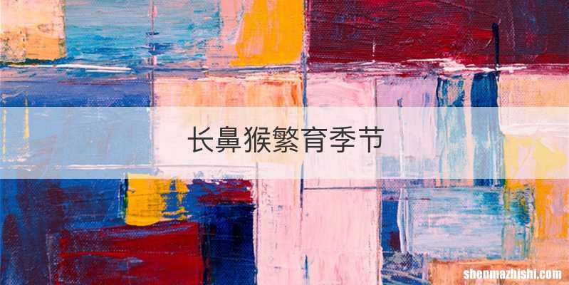 长鼻猴繁育季节