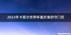 2022年卡塔尔世界杯最厉害的守门员