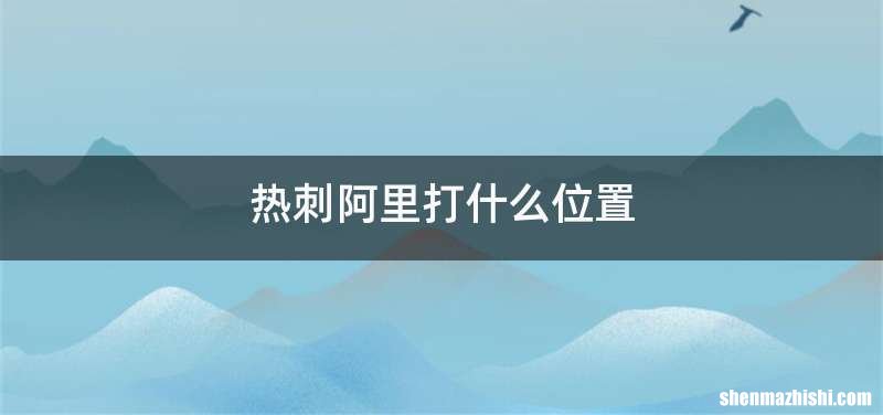热刺阿里打什么位置